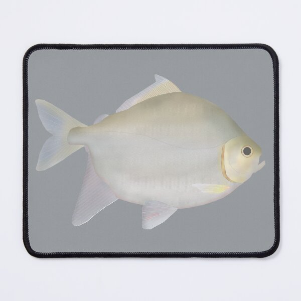 Item preview, Pacu Murutinga designed and sold by fishfolkart.