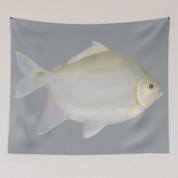 Item preview, Pacu Murutinga designed and sold by fishfolkart.