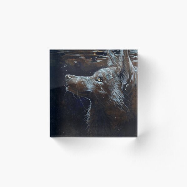 Montego Acrylic Block
