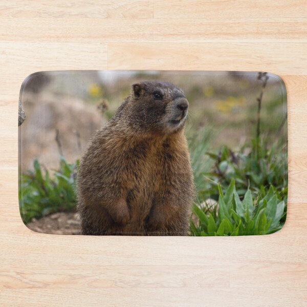 Item preview, Standing Marmot 2 designed and sold by photosbyalexis.