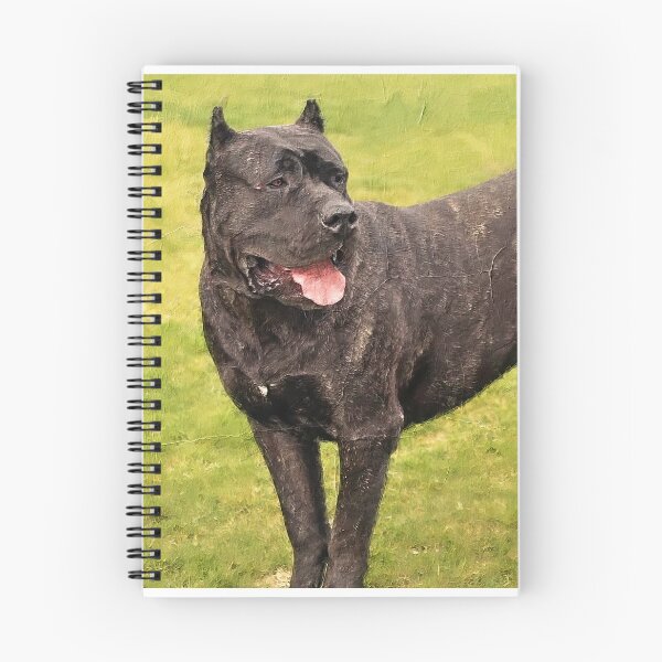 Item preview, Presa Canario staying alert - digital painting designed and sold by NickoPrints.