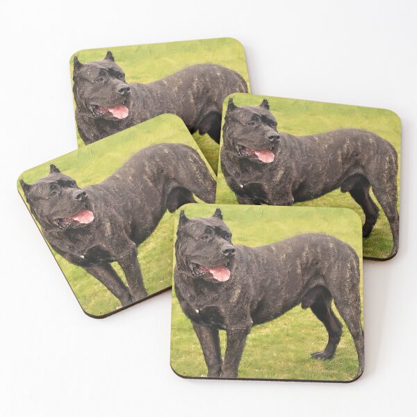 Item preview, Presa Canario staying alert - digital painting designed and sold by NickoPrints.