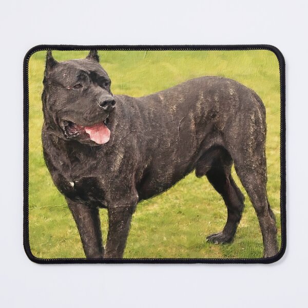 Item preview, Presa Canario staying alert - digital painting designed and sold by NickoPrints.