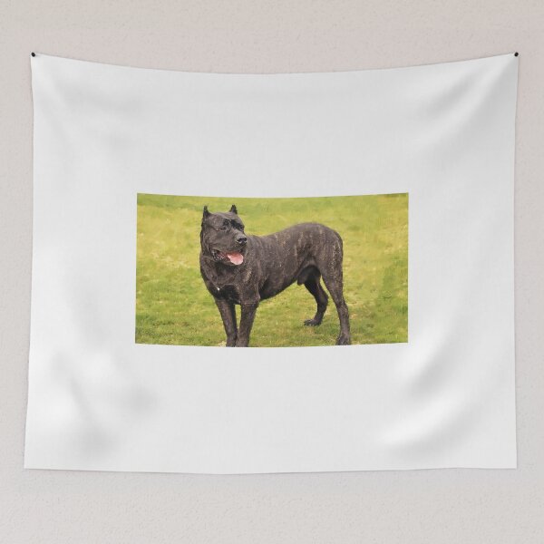 Item preview, Presa Canario staying alert - digital painting designed and sold by NickoPrints.