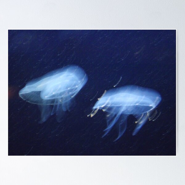 Item preview, Aquatic life designed and sold by Rootoli-Visions.