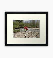 Paintbrush Framed Print