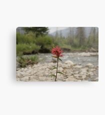 Paintbrush Metal Print