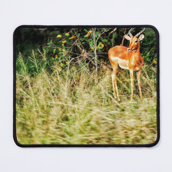 Item preview, Impala designed and sold by PipsyJ Photography.