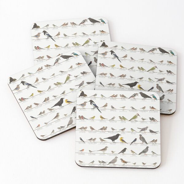 Item preview, Native Songbirds, Garden Birds, Birds Infographic / Display Board (German) designed and sold by Iris Luckhaus.