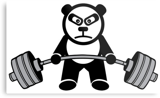 weightlifting teddy bear