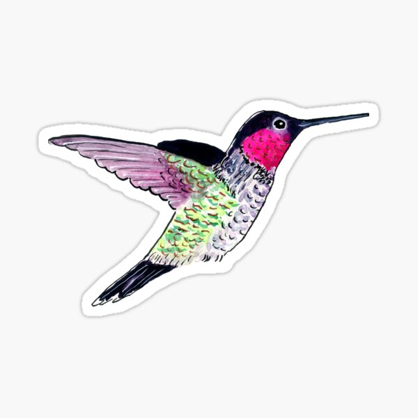 Little Hummingbird 1 Sticker