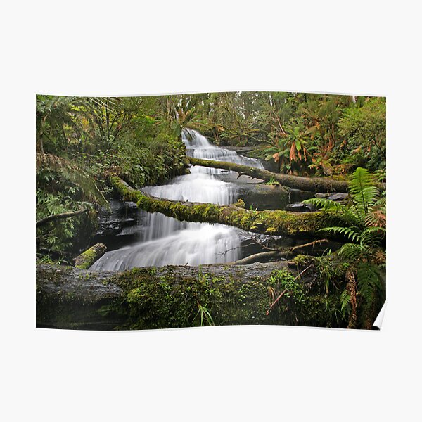 Triplet Falls, Otways, Australia Poster