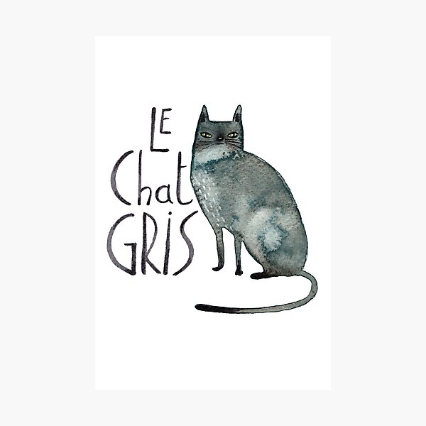 Le Chat Gris Photographic Print