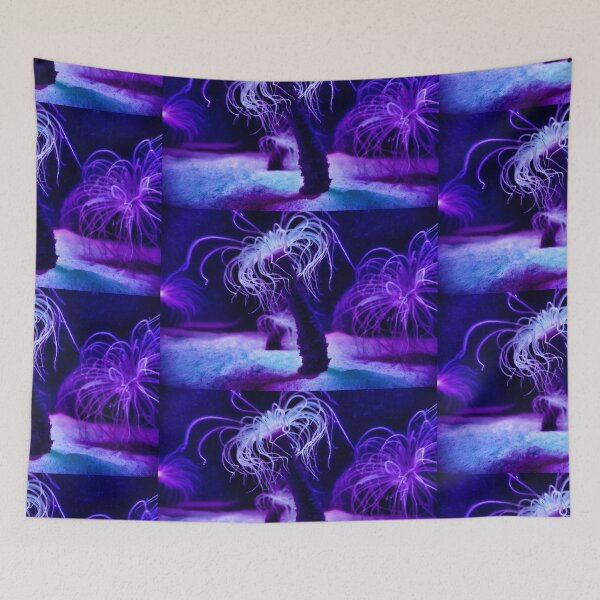 Item preview, Sea Anemone designed and sold by PipsyJ Photography.
