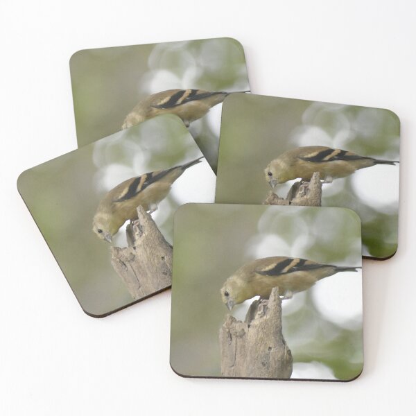 Item preview, American Goldfinch Fledgling  designed and sold by Tonia Delozier's Photography .