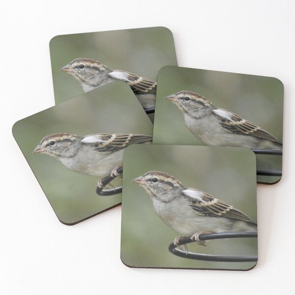 Item preview, Chipping Sparrow designed and sold by Tonia Delozier's Photography .