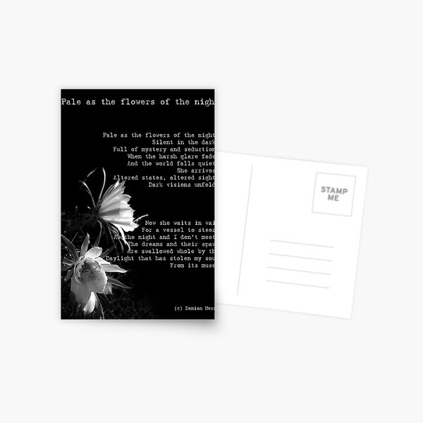 As pale as the flowers of the night Postcard
