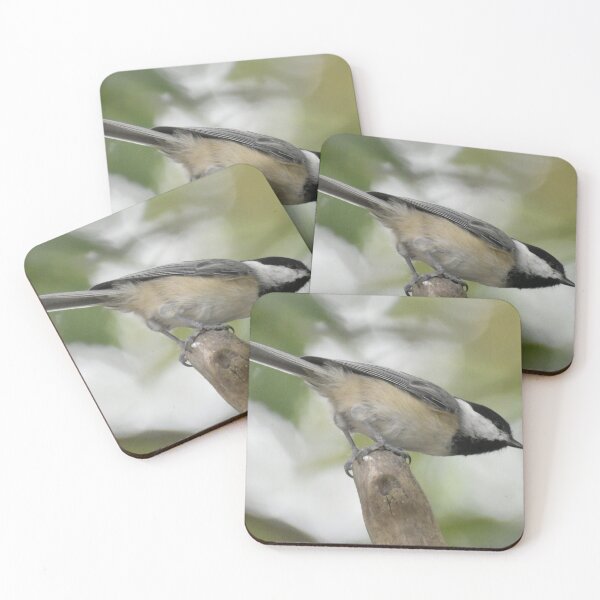 Item preview, Carolina Chickadee  designed and sold by Tonia Delozier's Photography .