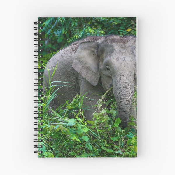 Item preview, Borneo Pygmy Elephant designed and sold by Artiphartifoto.