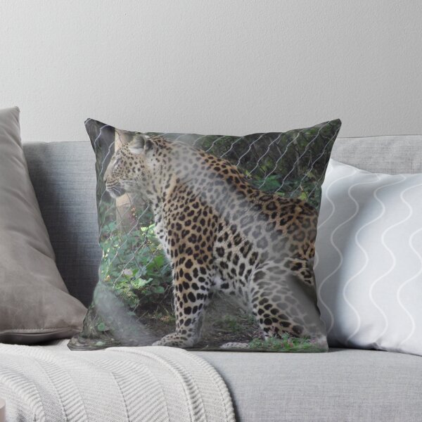 Artikelvorschau, Afrikanischer Leopard entworfen und verkauft von Rootoli-Visions.