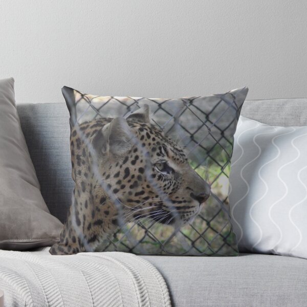 Artikelvorschau, Afrikanischer Leopard entworfen und verkauft von Rootoli-Visions.