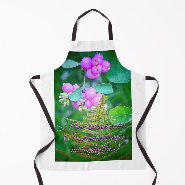 Item preview, Pink snowberries (Symphoricarpos microphyllus) designed and sold by angel1.