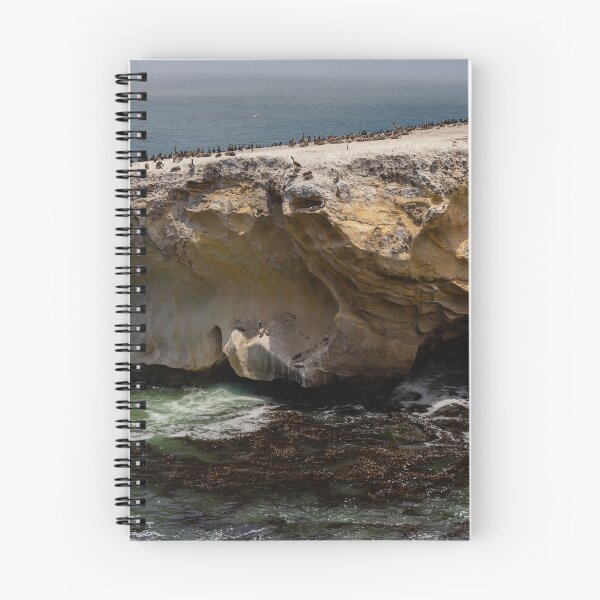 Item preview, Sea Stacks near Dinosaur Caves Park designed and sold by Tootalled Photography .
