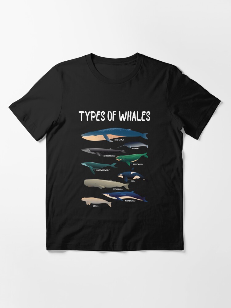 Types of Whales Funny Ocean Graphic T-Shirt | Vintage Chart Nature Tee Triblend Royal / Small