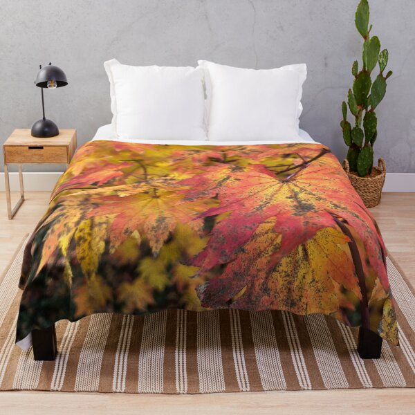 Item preview, Fall - the Season of Change designed and sold by Photomersion.