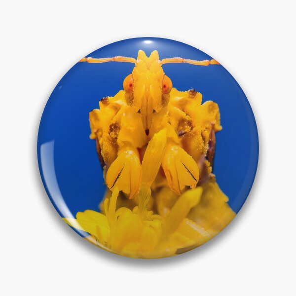 Item preview, Ambush Bug -  Phymatinae designed and sold by AronsTinySafari.