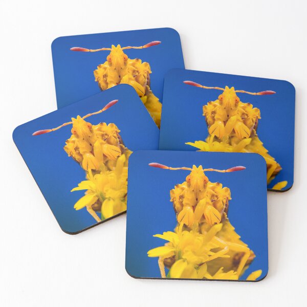 Item preview, Ambush Bug -  Phymatinae designed and sold by AronsTinySafari.