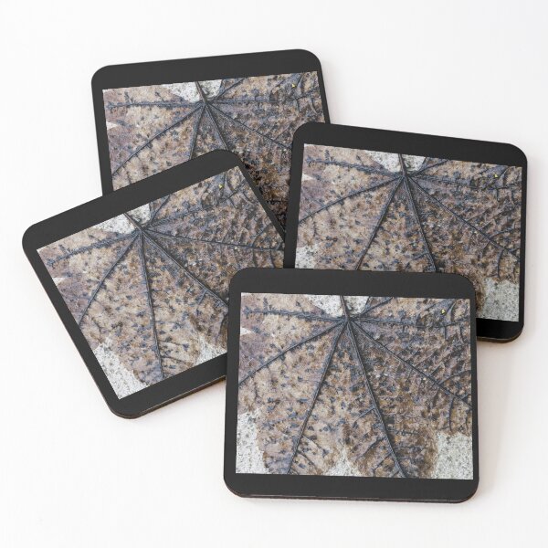Item preview, Impermanence designed and sold by Photomersion.