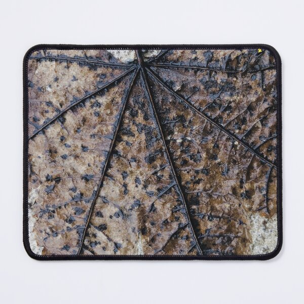Item preview, Impermanence designed and sold by Photomersion.