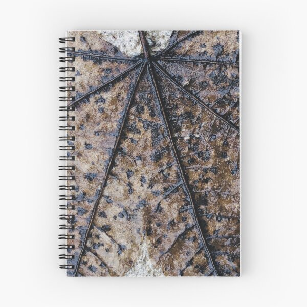 Item preview, Impermanence designed and sold by Photomersion.