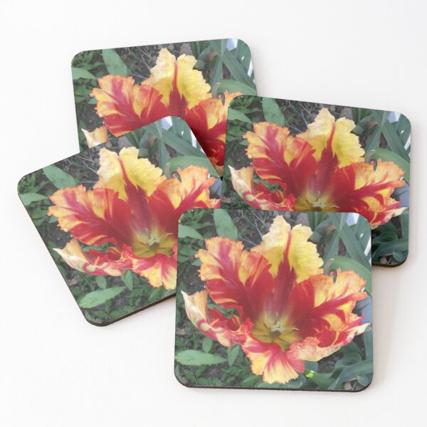 Item preview, Flamboyant Parrot Tulip  designed and sold by Amanda1775.