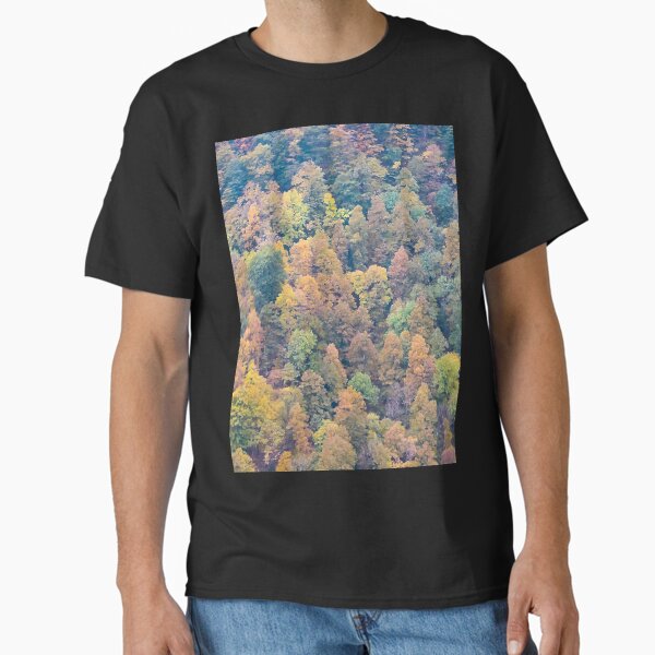 Item preview, autumnal foliage illustration designed and sold by Marco Varrone.