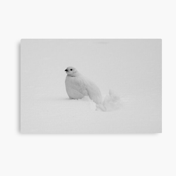 Item preview, White Ptarmigan designed and sold by Alyce Taylor.