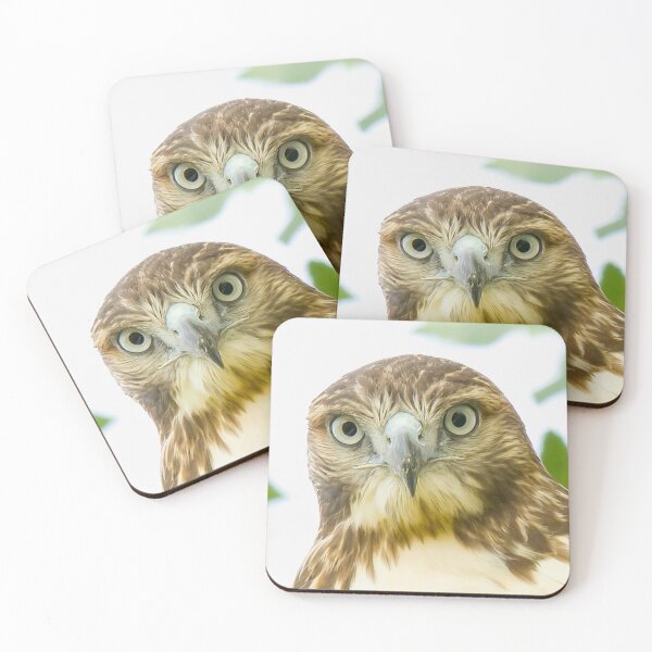 Item preview, Red Tailed Hawk  designed and sold by rmyerphoto.