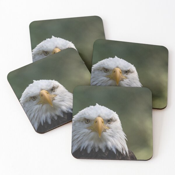 Item preview, Bald Eagle looking right at you  designed and sold by pnywest.