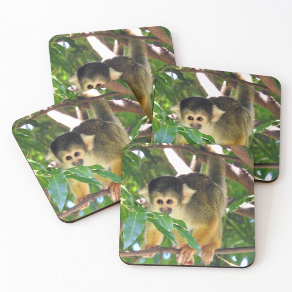 Item preview, Squirrel Monkey designed and sold by kirstybush.
