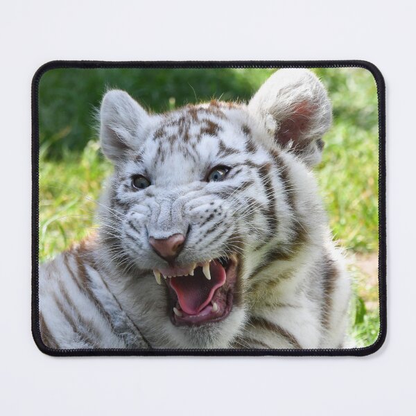 Item preview, White Tiger Chilling designed and sold by DesignVertex.