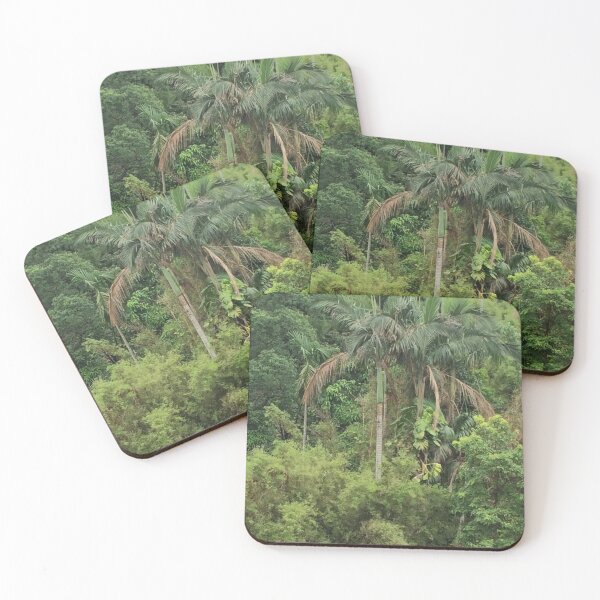 Item preview, Palm Tree in a Forested Mountain designed and sold by CJRPics.