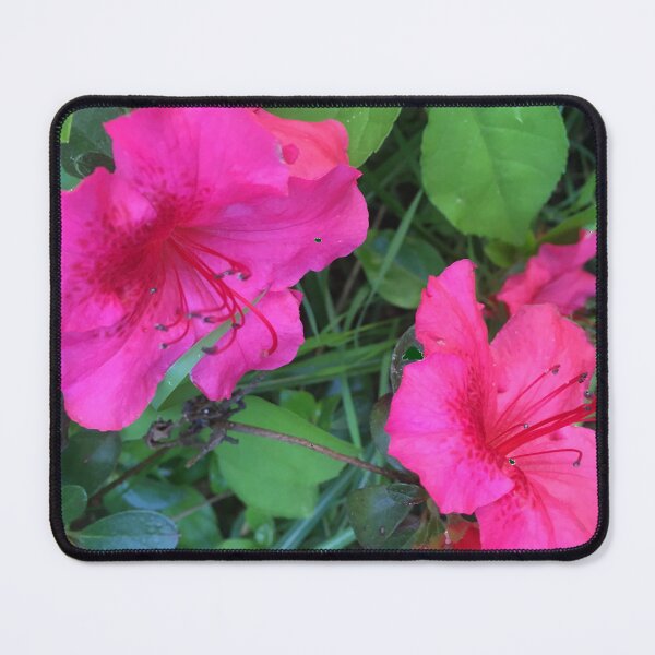 Item preview, Azaleas  designed and sold by Amanda1775.