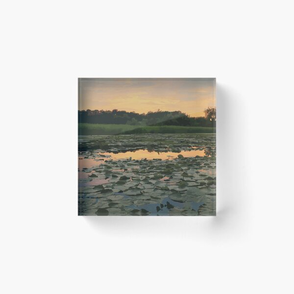 Item preview, Parque Nacional Urbano Rouge designed and sold by cameronstevens.