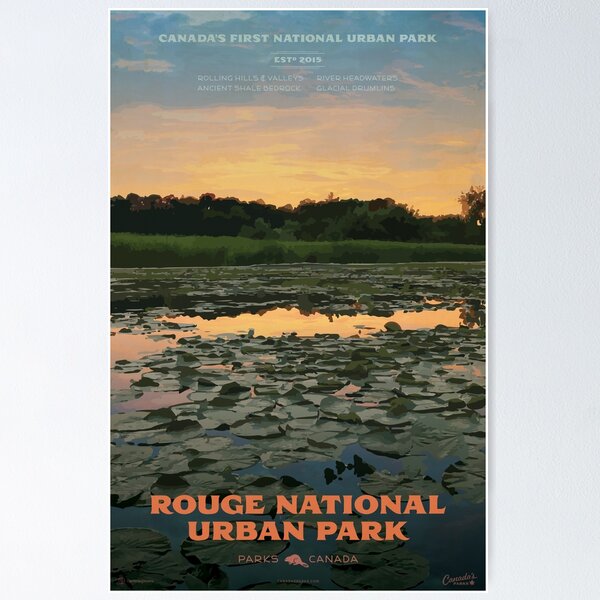 Item preview, Rouge National Urban Park designed and sold by cameronstevens.