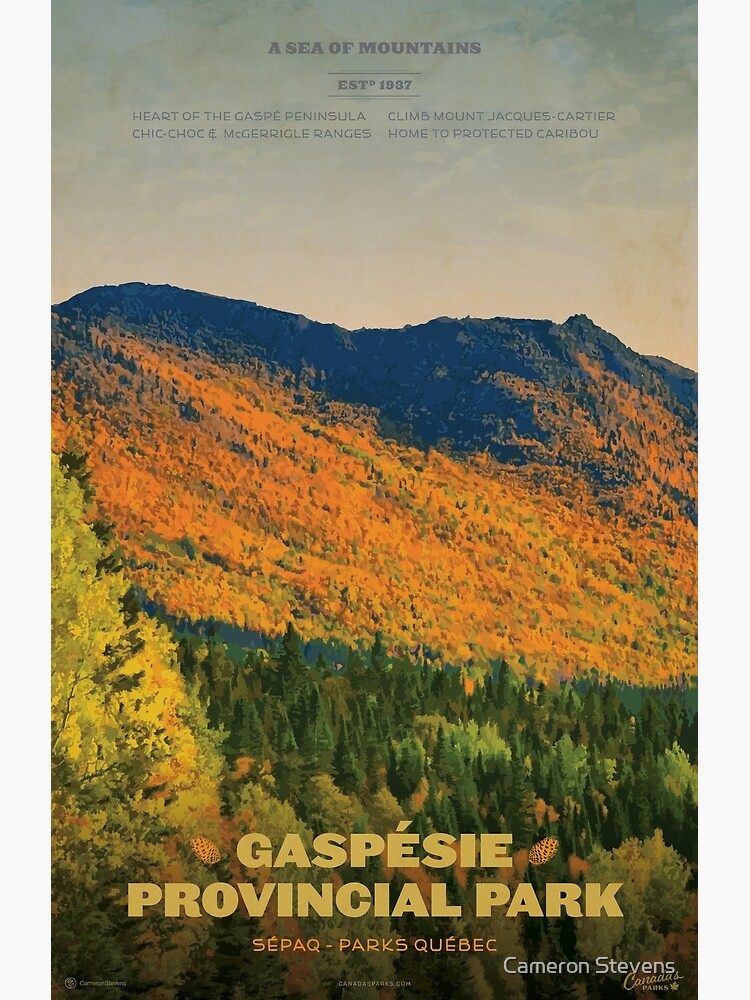 "Gaspesie Provincial Park" Poster for Sale by cameronstevens Redbubble