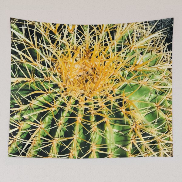 Item preview, Barrel Cactus Dramatic Close-Up Art Photo designed and sold by DEC02.