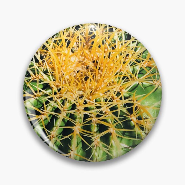 Item preview, Barrel Cactus Dramatic Close-Up Art Photo designed and sold by DEC02.