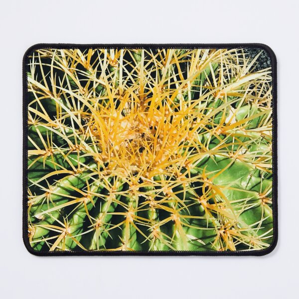 Item preview, Barrel Cactus Dramatic Close-Up Art Photo designed and sold by DEC02.