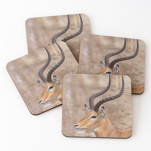Item preview, Close-up of a Male Impala (Aepyceros melampus) designed and sold by Yair Karelic.